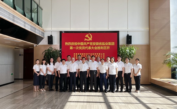 省康养公司等3家公司18名党代表喜迎省AG真人集团第一次党代会召开