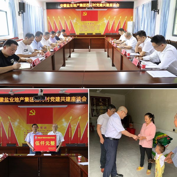 安徽AG真人地产集团党委赴西河村开展结对共建帮扶慰问运动